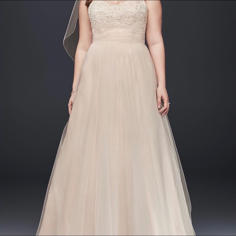 New David’s Bridal Plus Size Wedding Dress